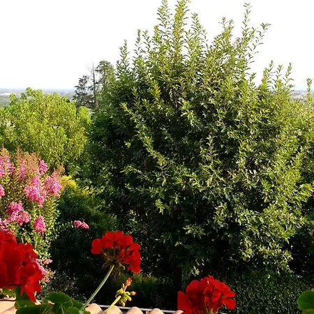 Bed & Breakfast La Collina Delle Acacie