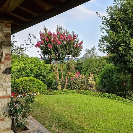 La Collina Delle Acacie