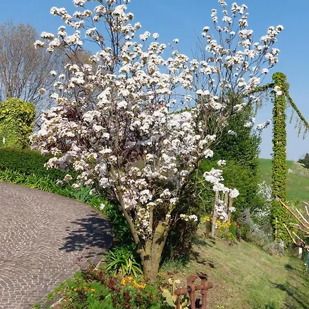 La Collina Delle Acacie * Grumolo Pedemonte