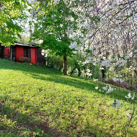 Bed & Breakfast La Collina Delle Acacie