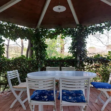 La Collina Delle Acacie *