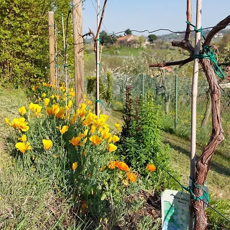 Bed & Breakfast La Collina Delle Acacie