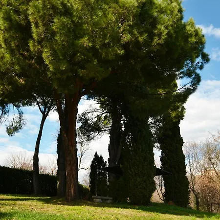 La Collina Delle Acacie Bed & Breakfast *